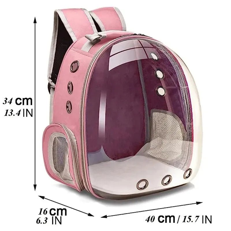 Backpack-carrier for cats, transparent capsule