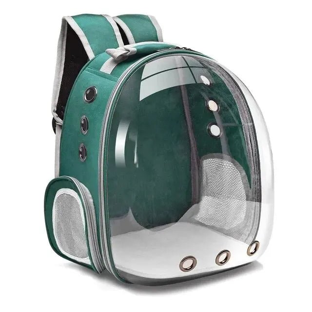 Backpack-carrier for cats, transparent capsule