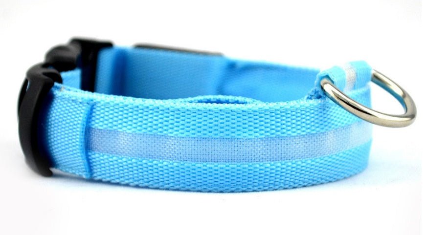LED dog collar with automatic on/off for night safety, rechargeable and designed for continuous outdoor use.