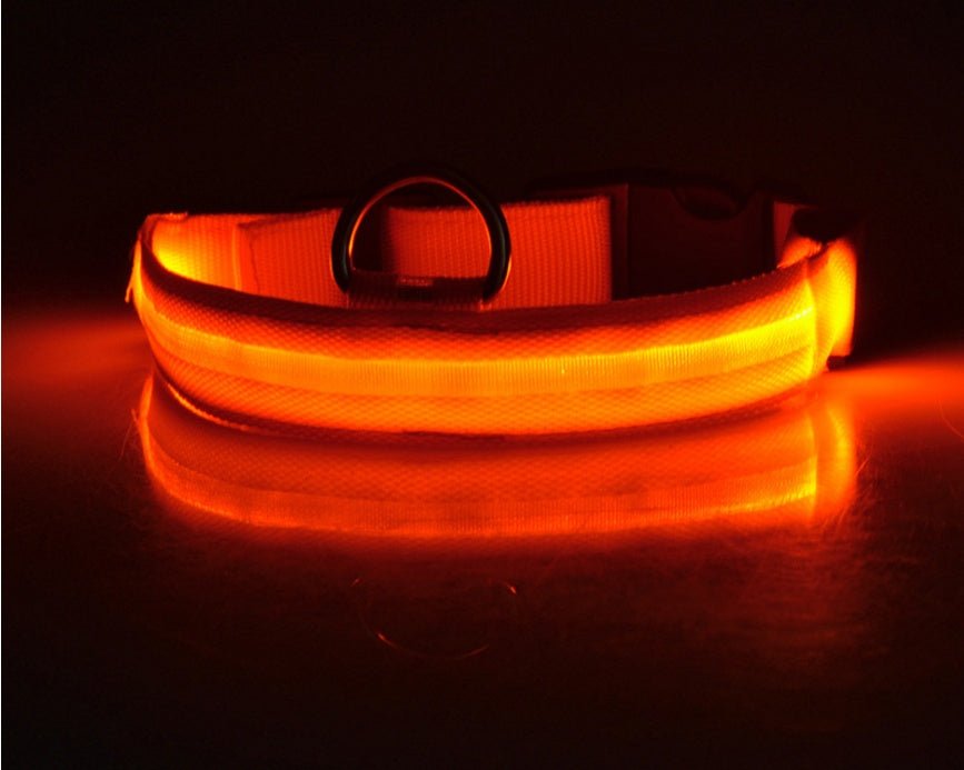 Compact LED dog collar for night safety, with powerful illumination and a secure fit for small to medium dogs."
