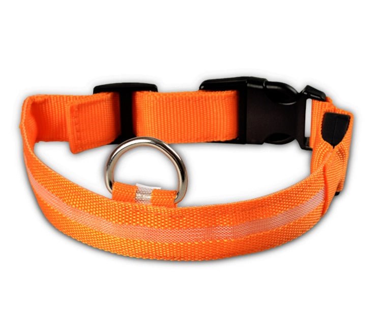 LED dog collar with integrated night safety light, ideal for dogs needing extra visibility during night walks."