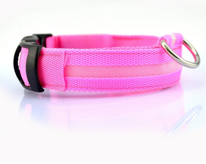 Energy-efficient LED dog collar for night safety, offering multiple light modes and easy USB charging."