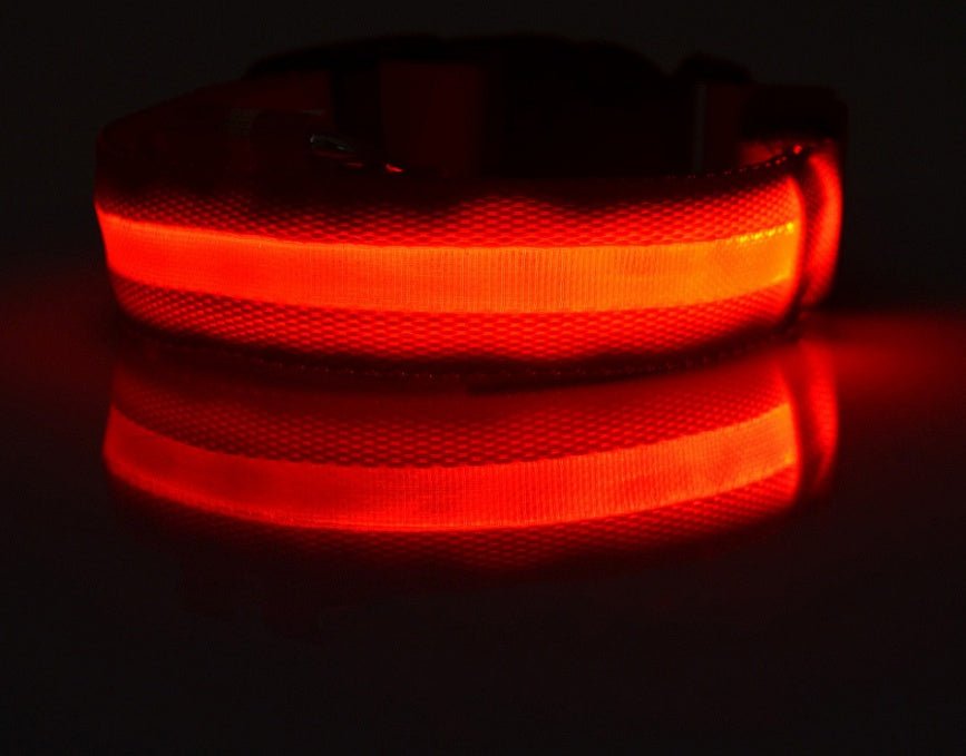"LED dog collar with robust night safety features, waterproof design, and reflective elements for secure walks.