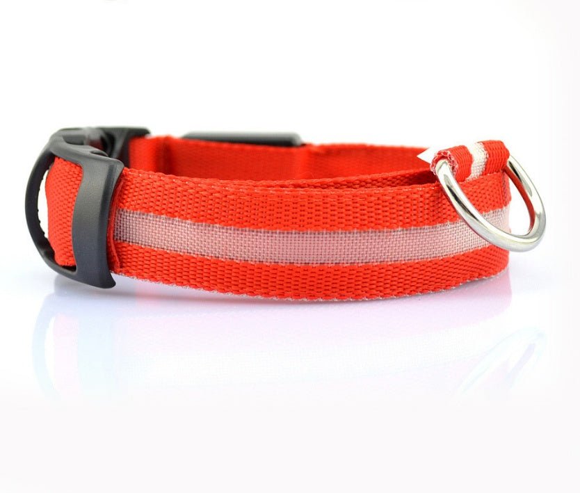 LED dog collar designed for night safety, featuring a rechargeable battery and adjustable, comfortable strap."