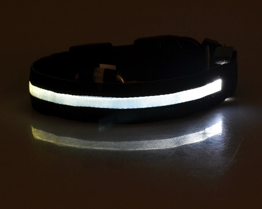 Innovative LED dog collar for night safety, perfect for active dogs needing high visibility in low light."