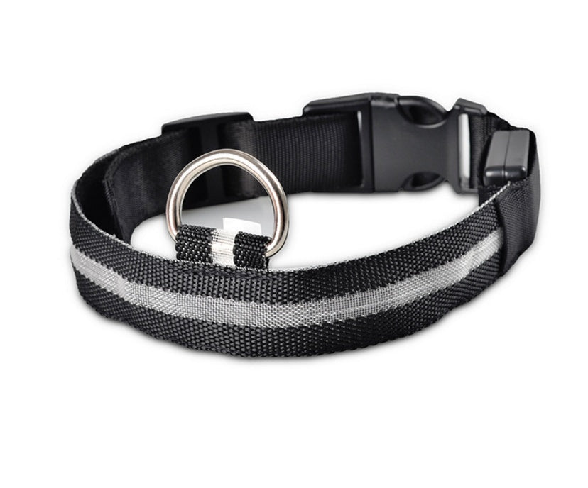 LED dog collar for night safety with versatile lighting modes, a rechargeable design, and a secure adjustable fit."