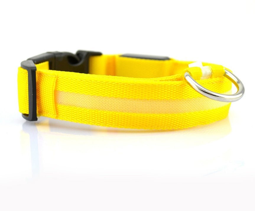 LED dog collar with advanced night safety tech, rechargeable and designed to enhance pet visibility in darkness.
