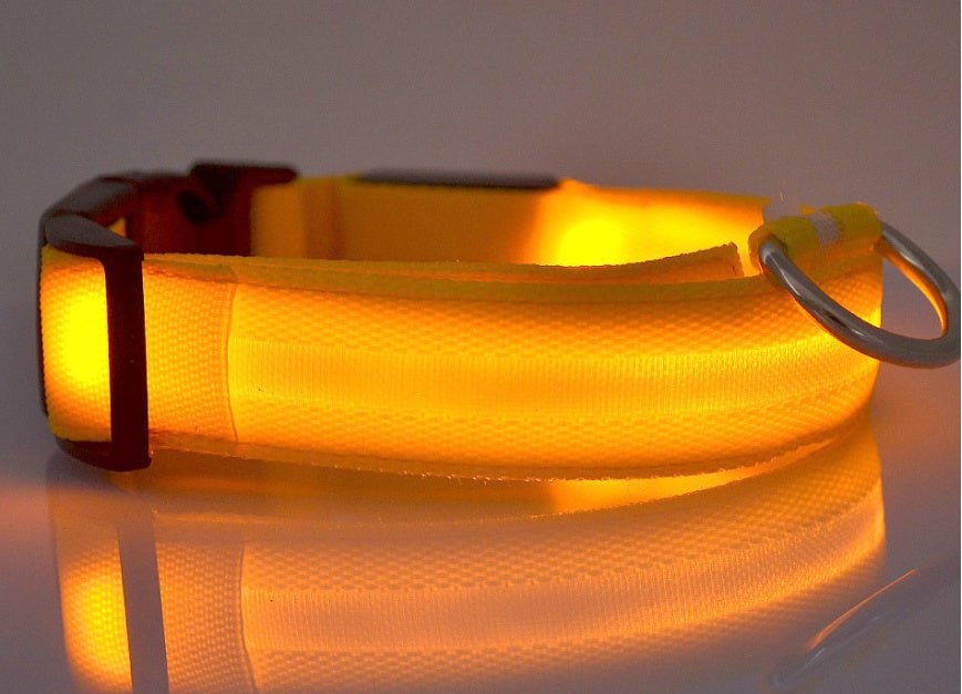 High-quality LED dog collar for night safety, offering bright illumination and durable, pet-friendly materials.