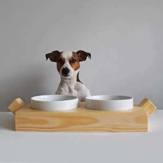 Dog bowl