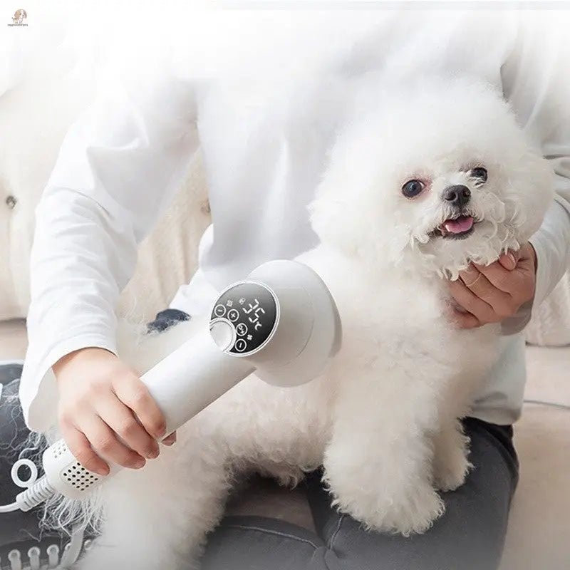 Hair Dryer for Pets - Fast Drying and Quiet Grooming Tool