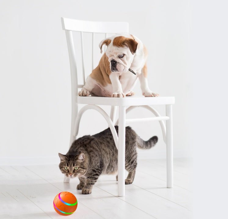 Pet New Cat Wicked Ball Toy Intelligent Ball USB Cat Toys Self Rotating Ball Automatic Rotation Ball - My/ Goods_for_Pets