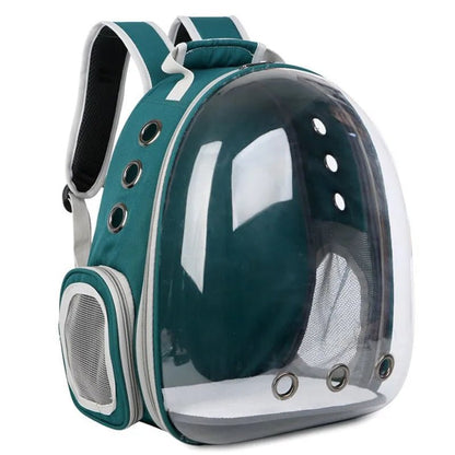 Backpack-carrier for cats, transparent capsule