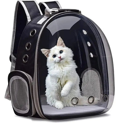 Backpack-carrier for cats, transparent capsule