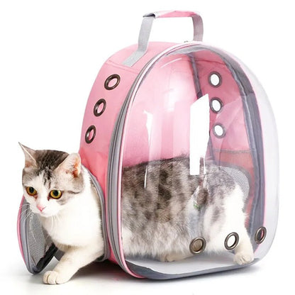 Backpack-carrier for cats, transparent capsule