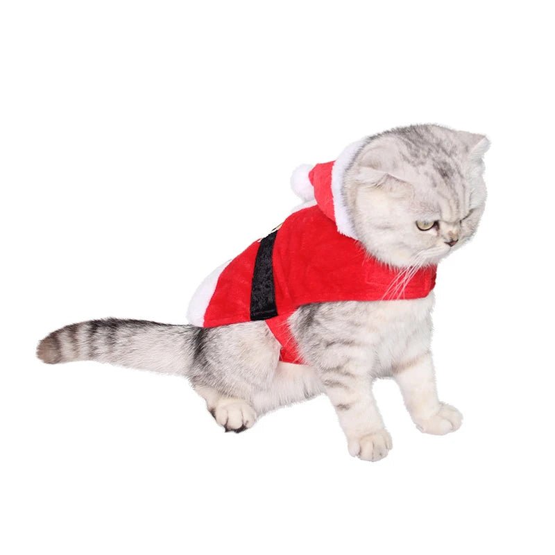 Christmas Jacket in the style of Santa Claus with a cute dog and cat