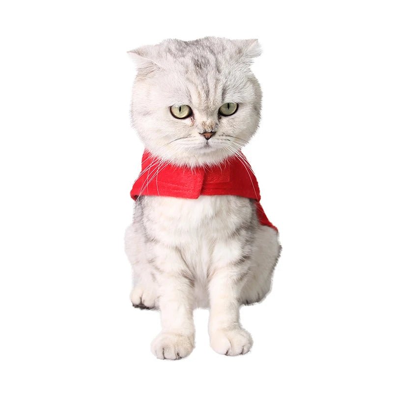 Christmas Jacket in the style of Santa Claus with a cute dog and cat