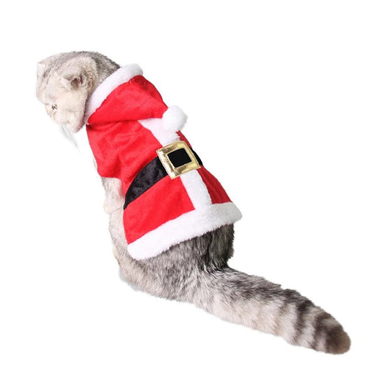 Christmas Jacket in the style of Santa Claus with a cute dog and cat