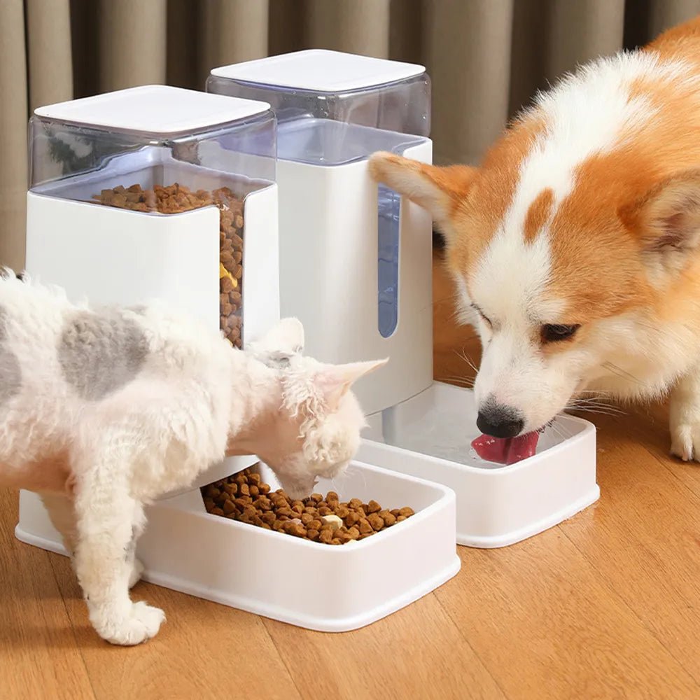 Dog Automatic Feeders Plastic Water Bottle Cat Bowl Feeding Dog Water