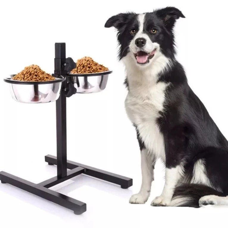 Dog Bowl Adjustable Standing Pet Bowl