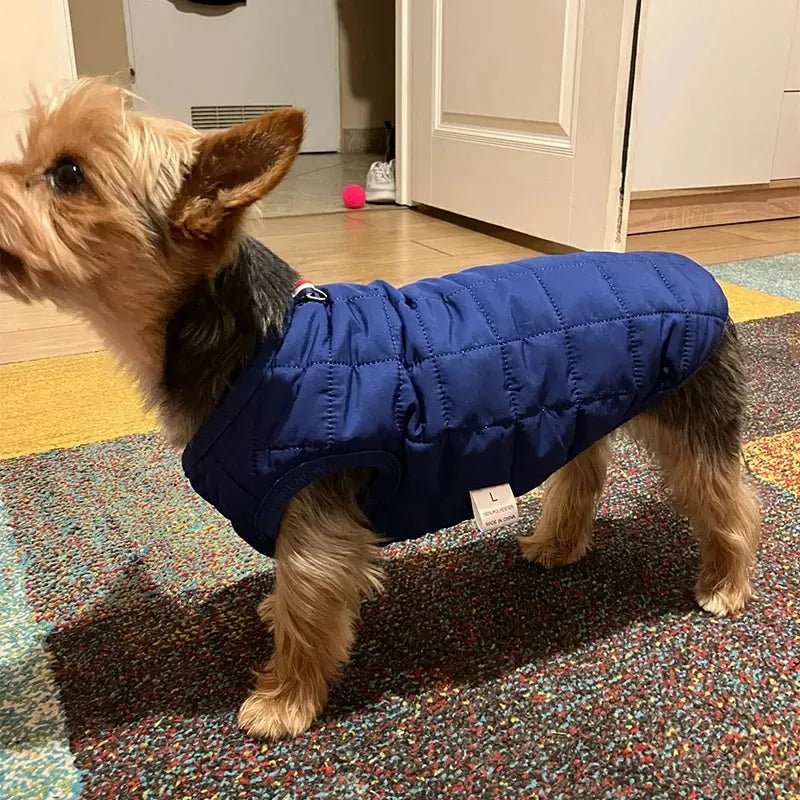 Winter warm pet clothes