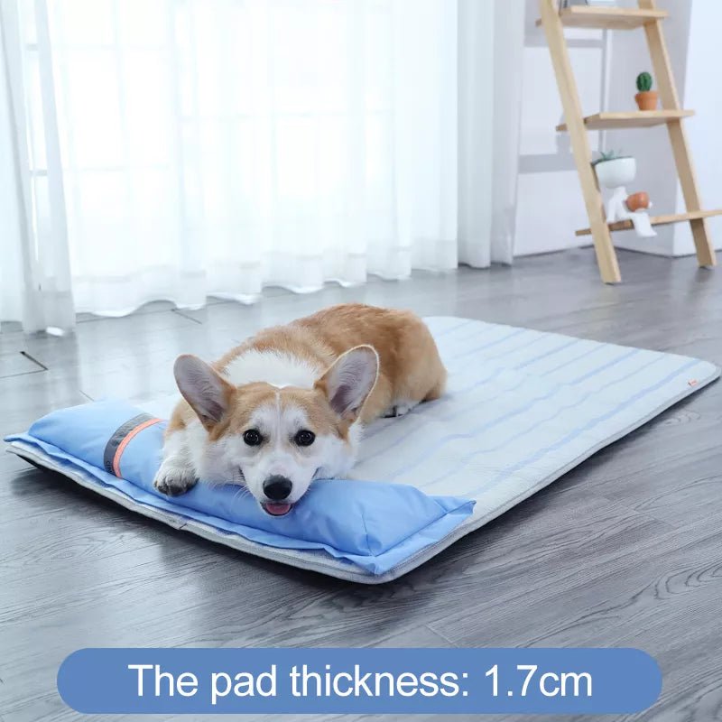 Dog Mat Comfortable Pad for Small and Large Dog Sleeping Bed Supplies - My/ Goods_for_PetsS 45x35x4.5cmIntroducing our Dog Mat Comfortable Pad, designed for both small and large dogs to provide a restful sleep. Made of high - quality materials, this sleeping bed supplies will provide comfort and support for your furry friend. Give your dog the rest they deserve with our comfortable and durable dog mat.4As Picture 3My/ Goods_for_PetsMy/ Goods_for_Pets