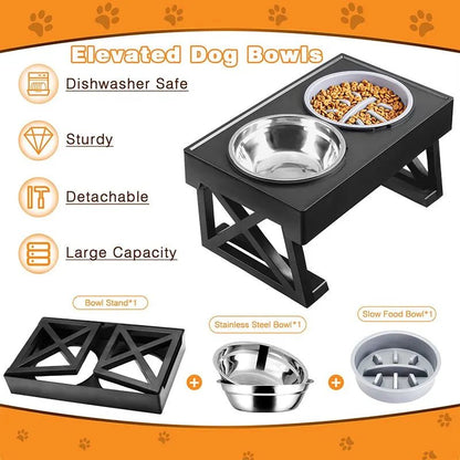 Double raised dog bowl