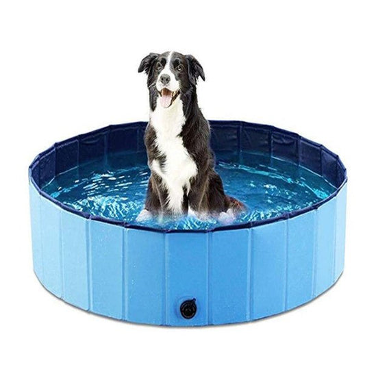 foldable pet pool