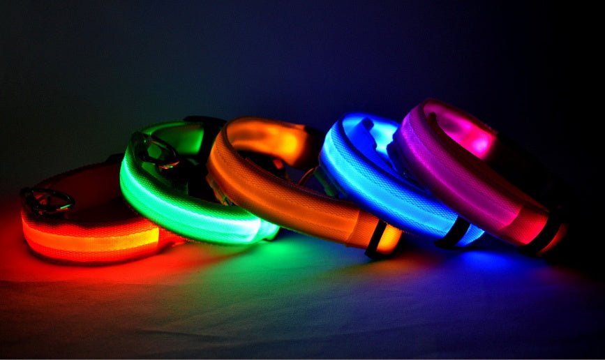 Waterproof LED dog collar for night safety, providing bright illumination for secure nighttime outings.