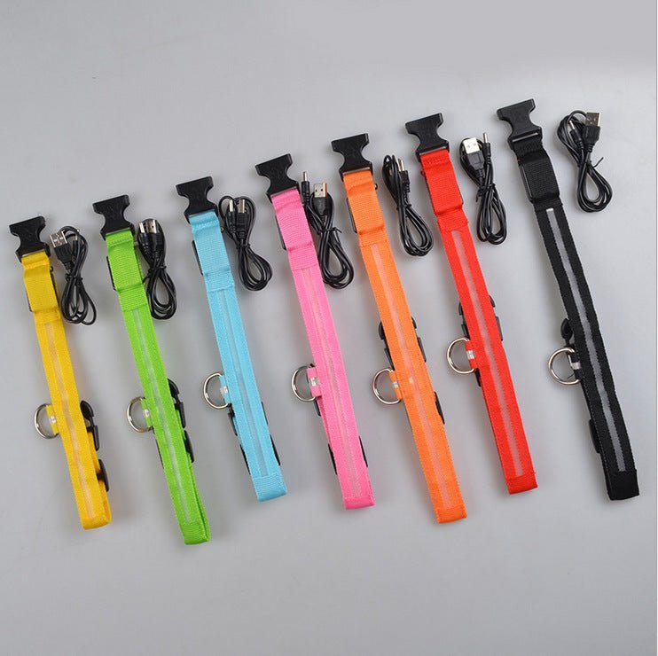 Durable LED dog collar for night safety, featuring bright LEDs and a secure, comfortable design."