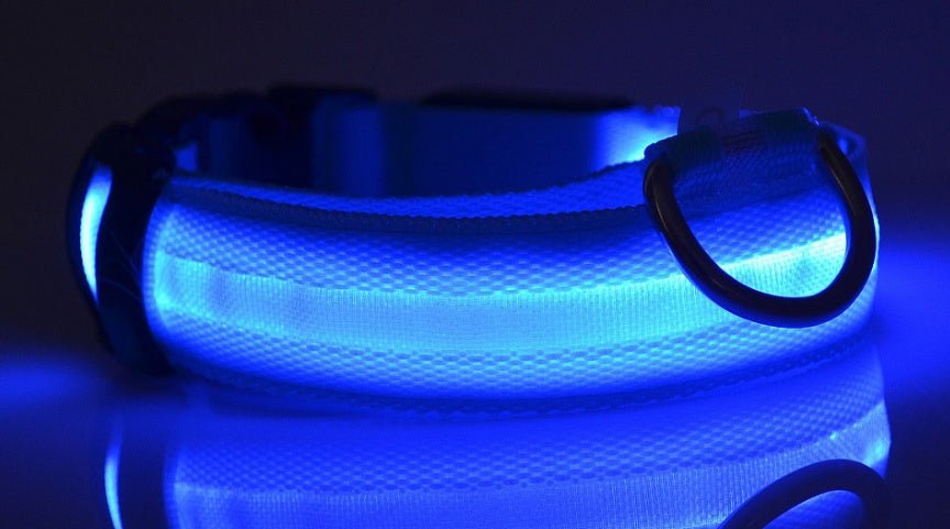 LED dog collar with night safety features, rechargeable, durable, and designed for active pet lifestyles.