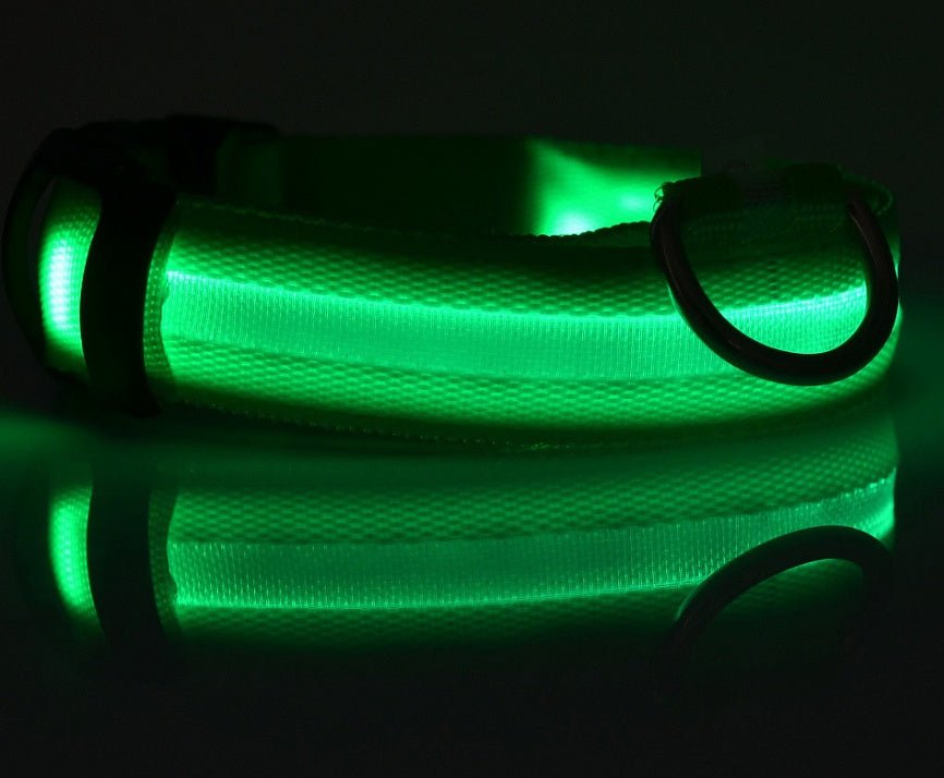 Sleek LED dog collar ensuring night safety with bright, energy-efficient lights and a comfortable fit.