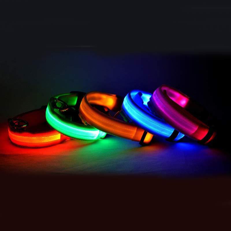 LED dog collar with a bright night safety light, rechargeable and reflective for secure evening walks.