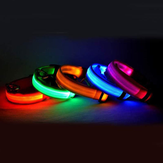 LED dog collar with a bright night safety light, rechargeable and reflective for secure evening walks.