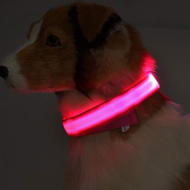 "Rechargeable LED dog collar ensuring night safety with an adjustable fit and high visibility for pets.