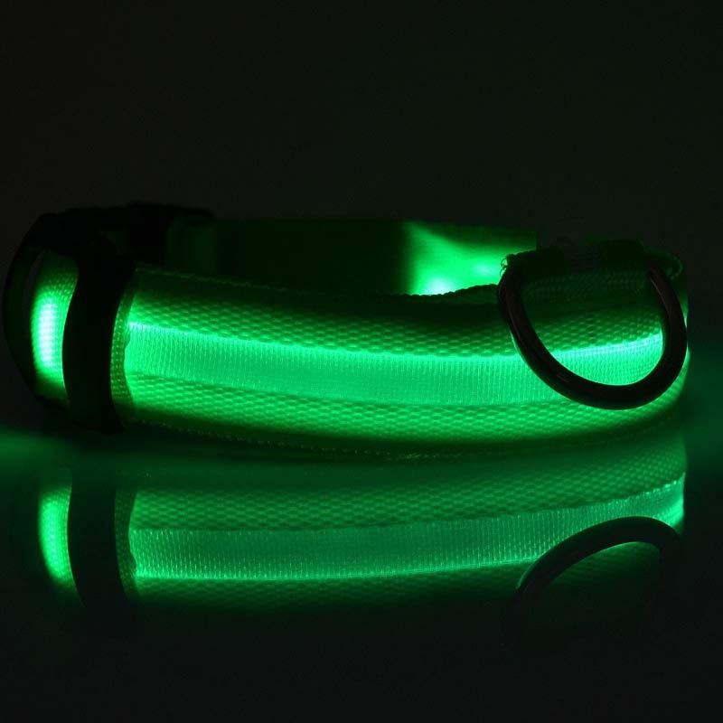 High-visibility LED dog collar for night safety, perfect for secure evening walks and outdoor adventures.