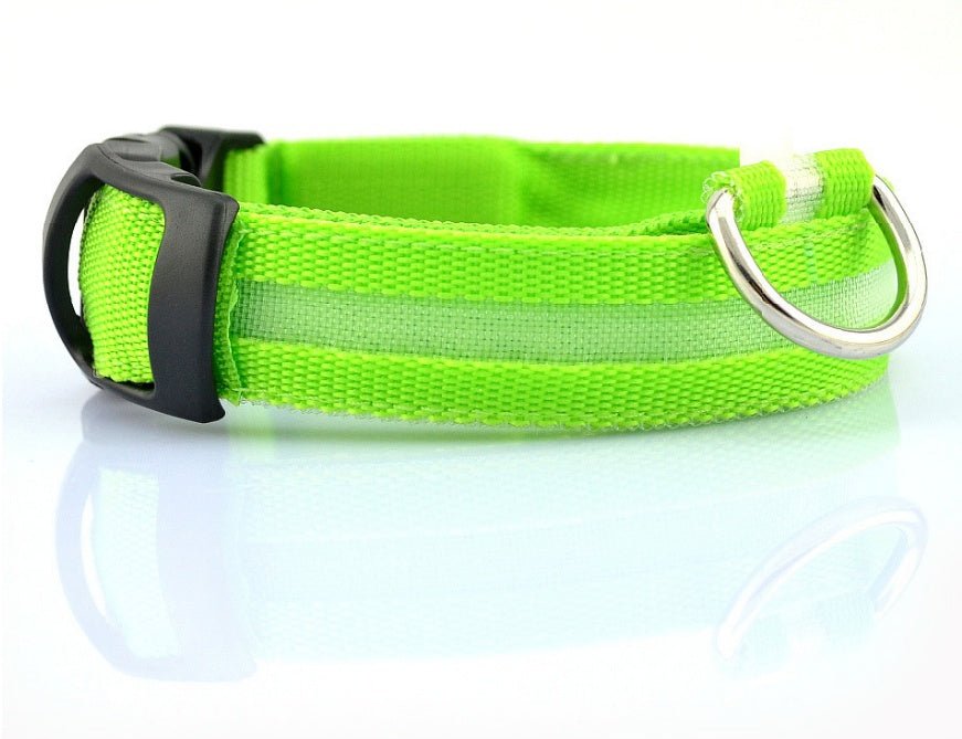 LED dog collar for night safety, with multi-mode lighting and easy charging for secure nighttime outings."