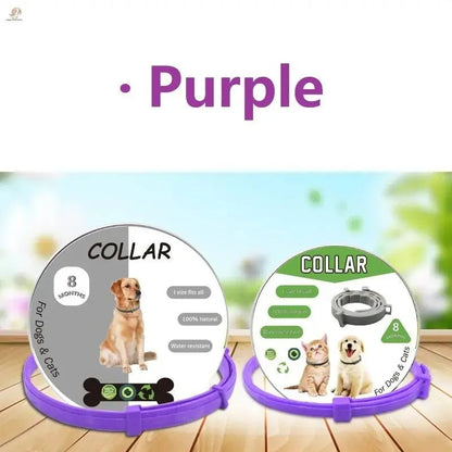 New 8 Month Dog Anti Flea And Tick Collar Dog and Cat Antiparasitic