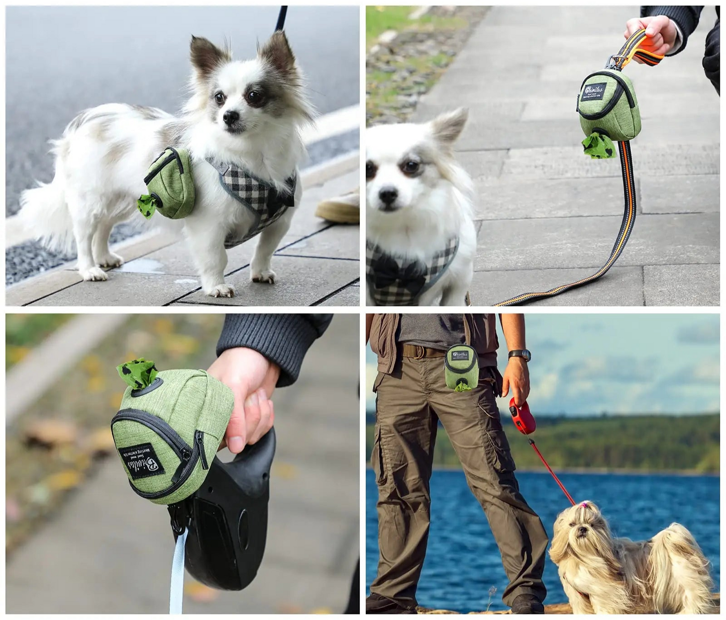 Portable multifunctional dog training bag and poop dispenser