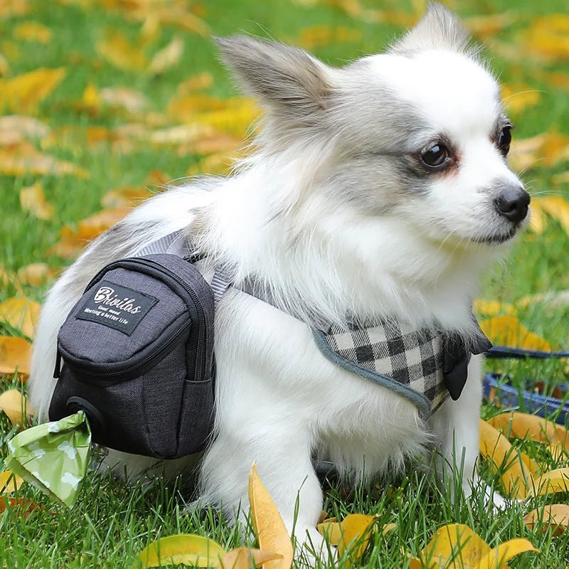 Portable multifunctional dog training bag and poop dispenser