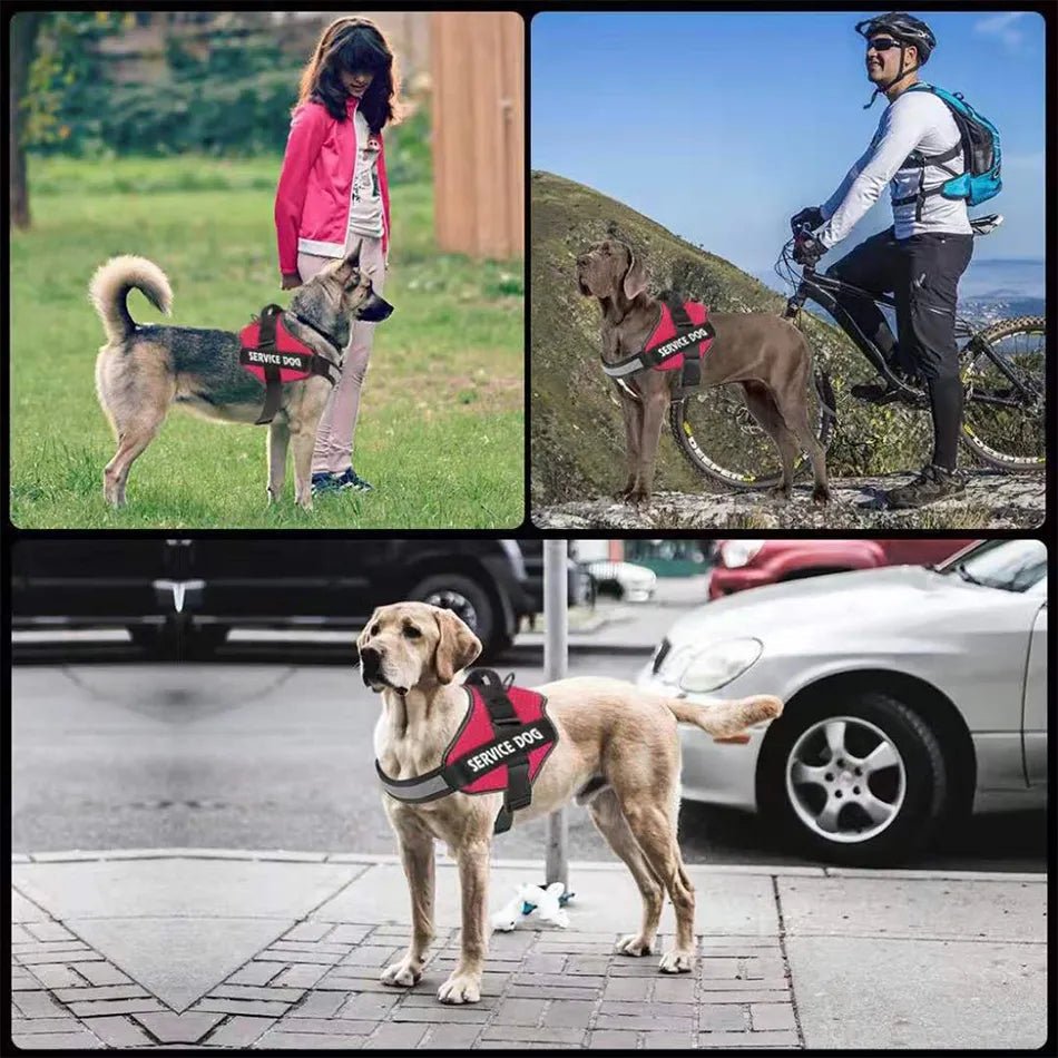 Reflective Breathable Adjustable Pet Harness For Dog