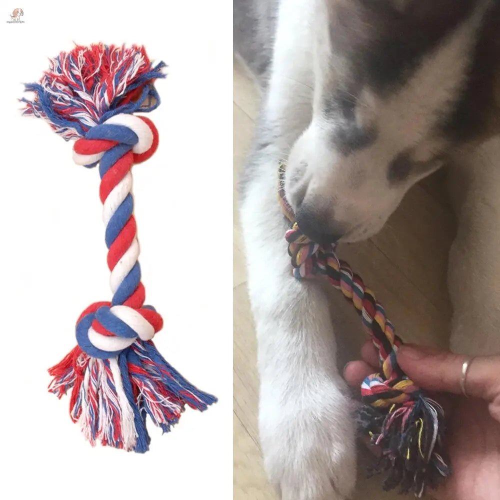 Toy for dogs Dogs
