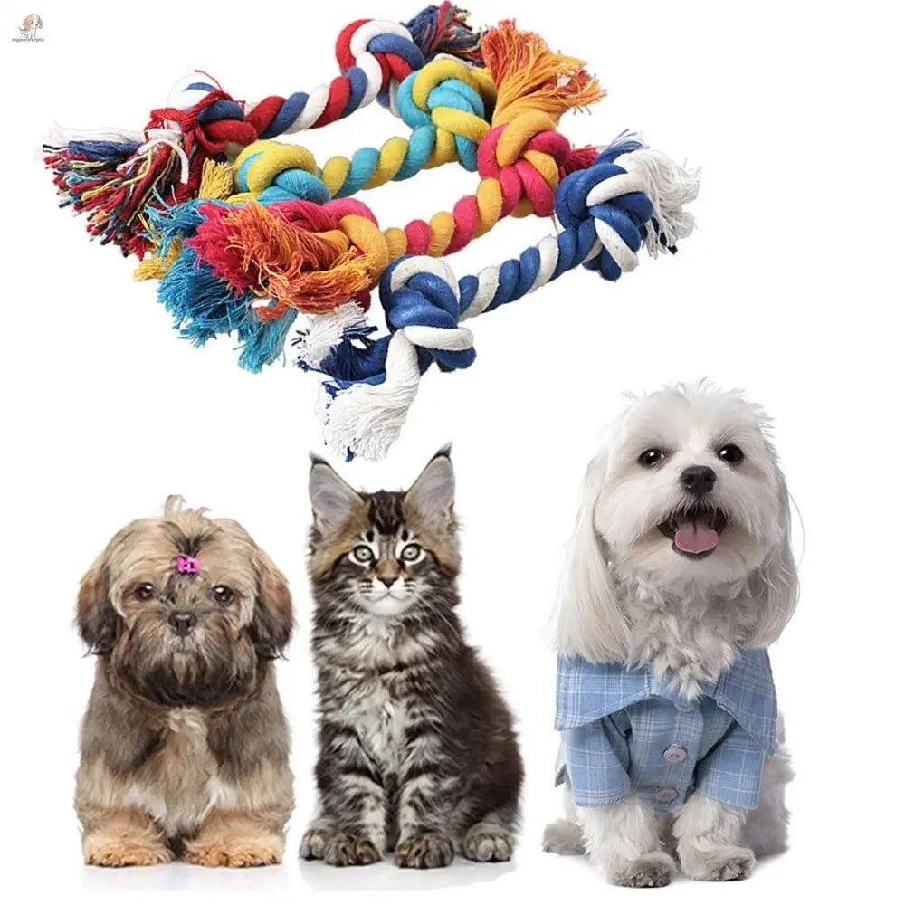Toy for dogs Dogs